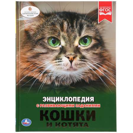 Книга Умка Кошки и котята 266768