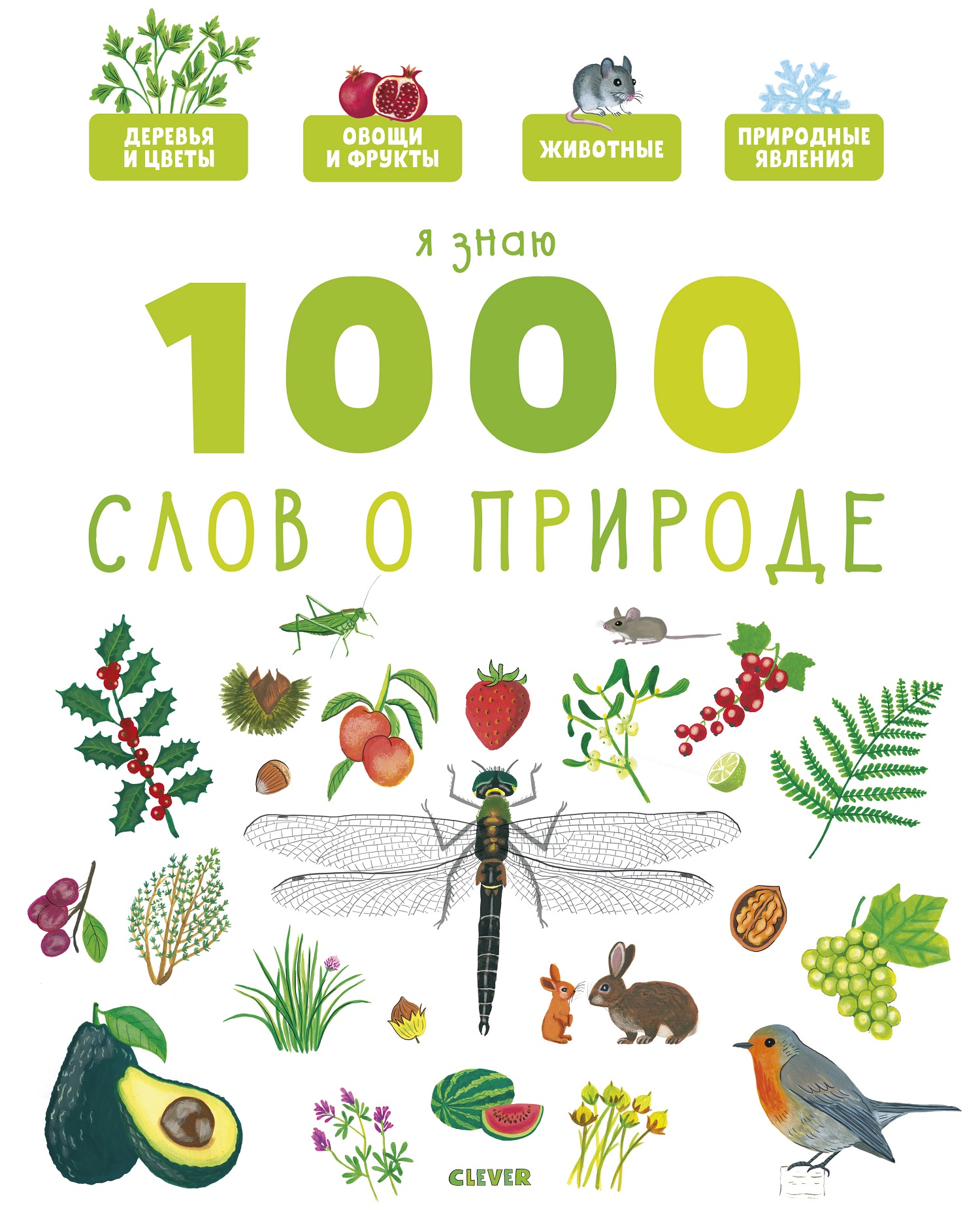 Книга Clever Главная книга малыша. Я знаю 1000 слов о природе - фото 1