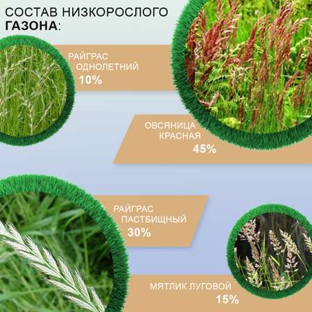 Семена газона Мираторг Низкорослый газон 1 кг