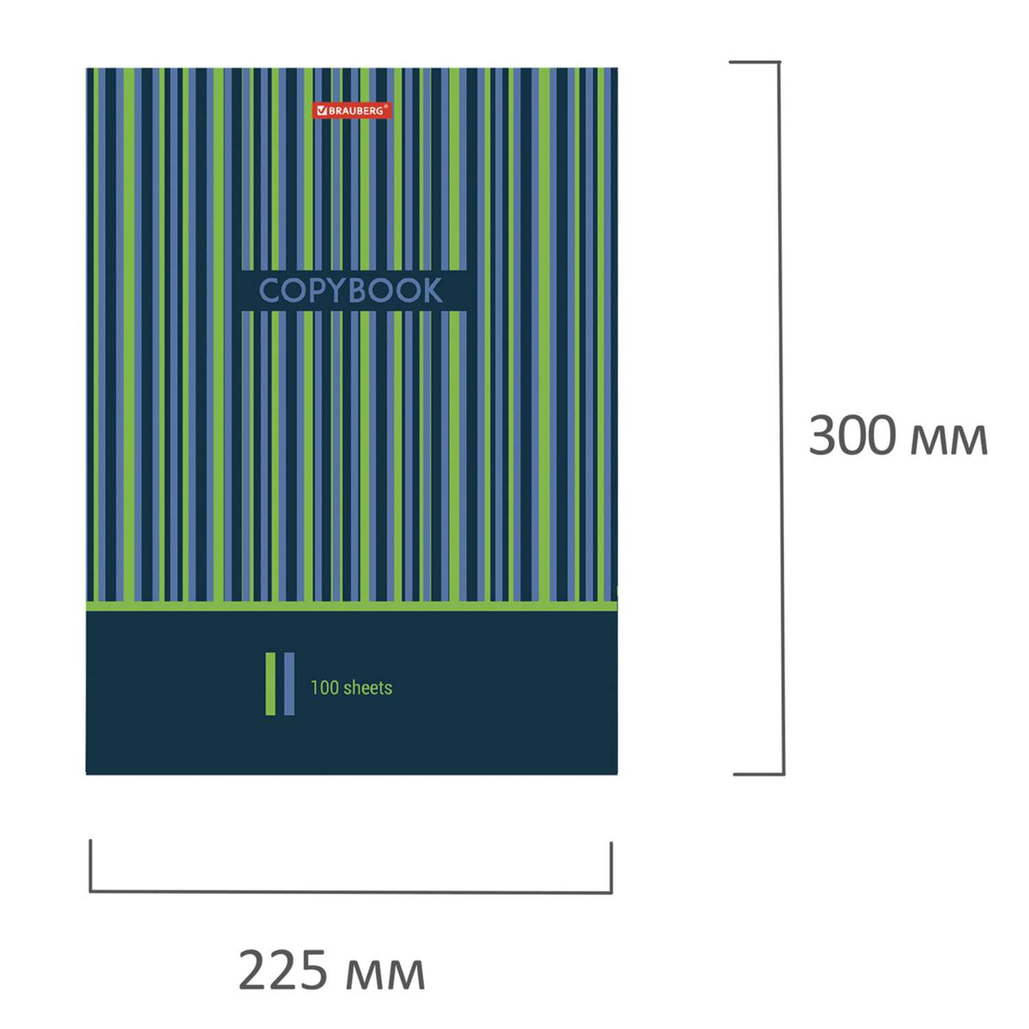 Тетрадь на кольцах Brauberg А4 со сменным блоком А4 100 листов клетка - фото 7