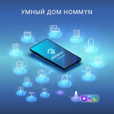 Модуль съемный управляющий HOMMYN HDN/WFN-02-01