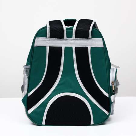 Рюкзак для переноски животных Пижон «Котик» прозрачно-зелёный