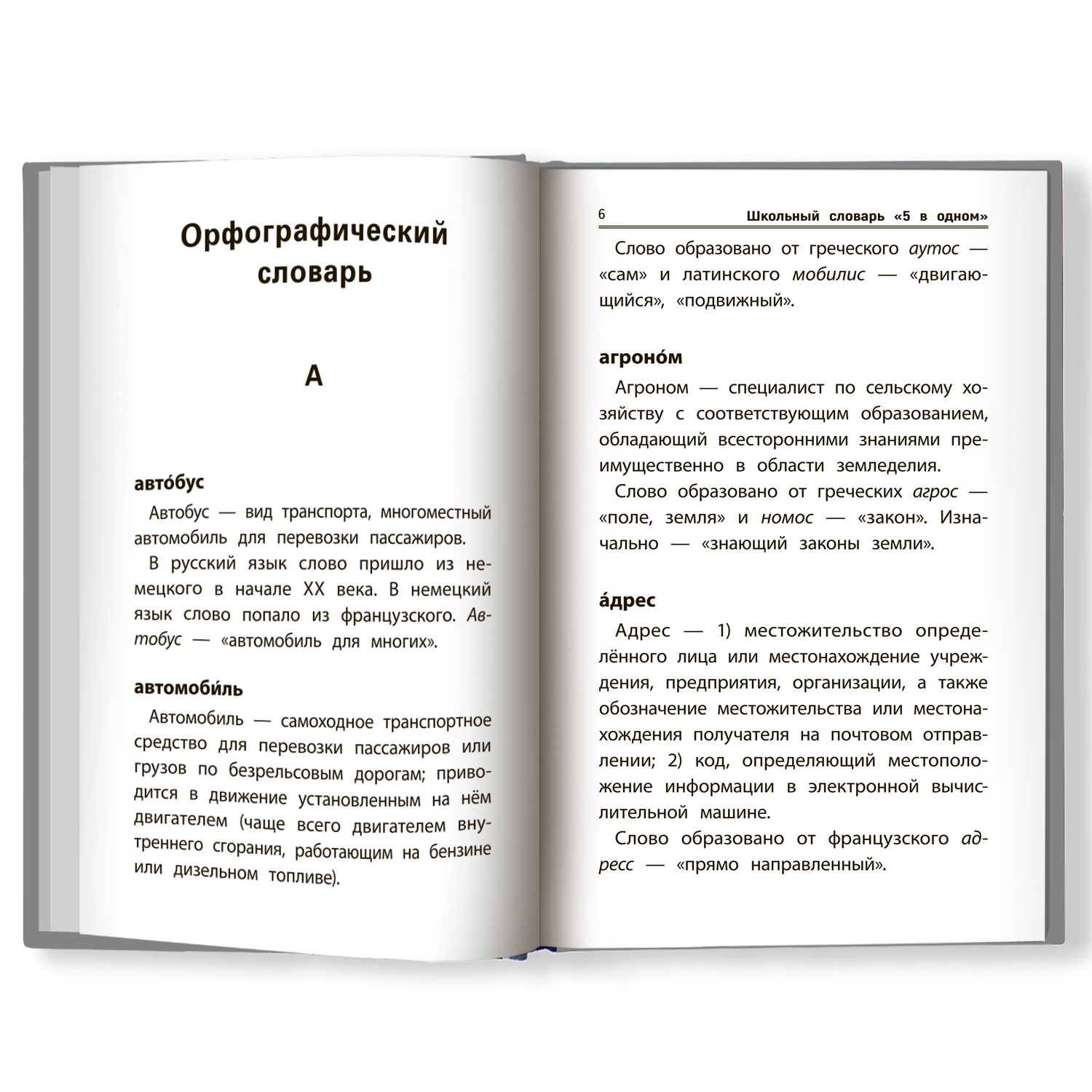 Книга Феникс Школьный словарь 5 в одном. С 1 по 4 класс купить по цене 382  ₽ в интернет-магазине Детский мир