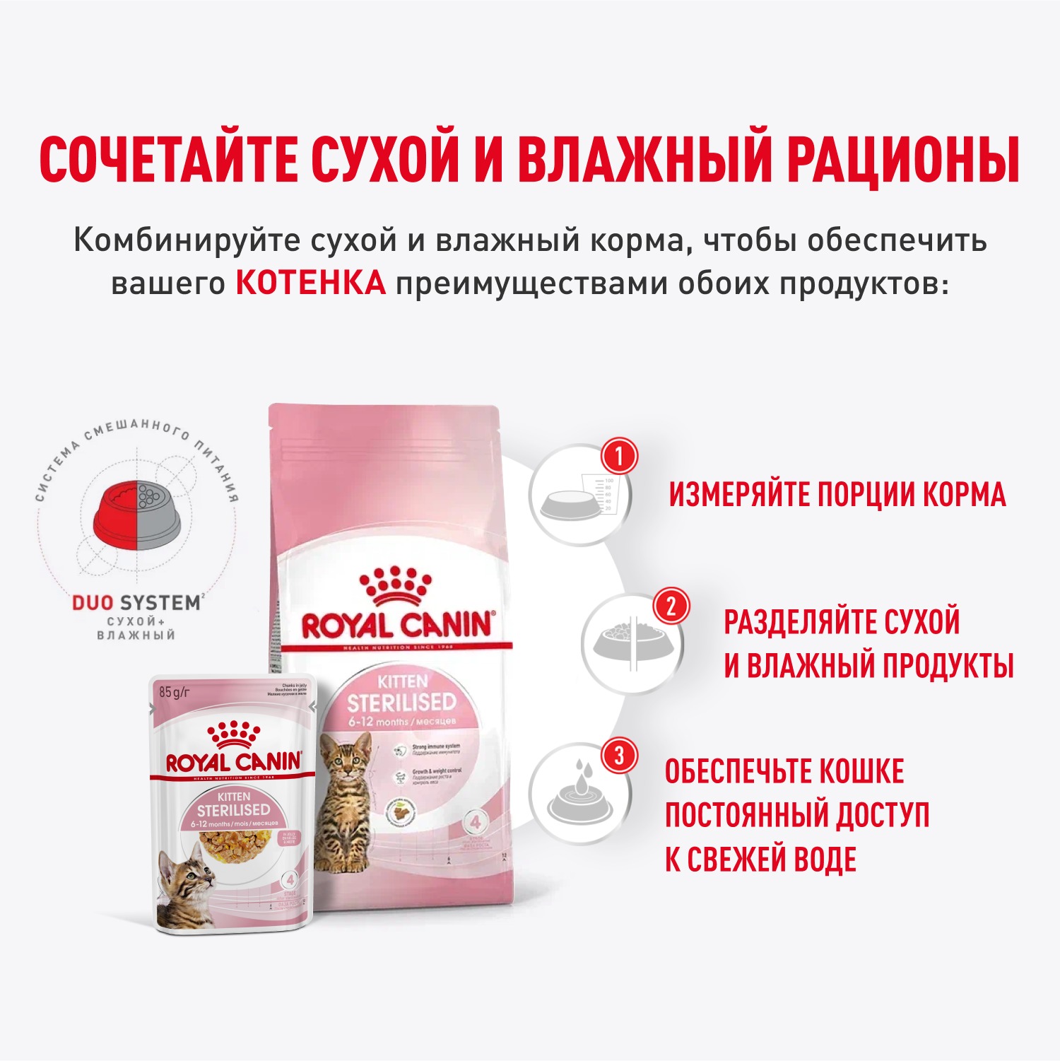 Корм для котят Royal Canin 85г Kitten Sterilised желе для стерилизованных котят пауч - фото 7