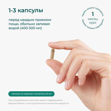 Клетчатка LeafToGo F3 для похудения