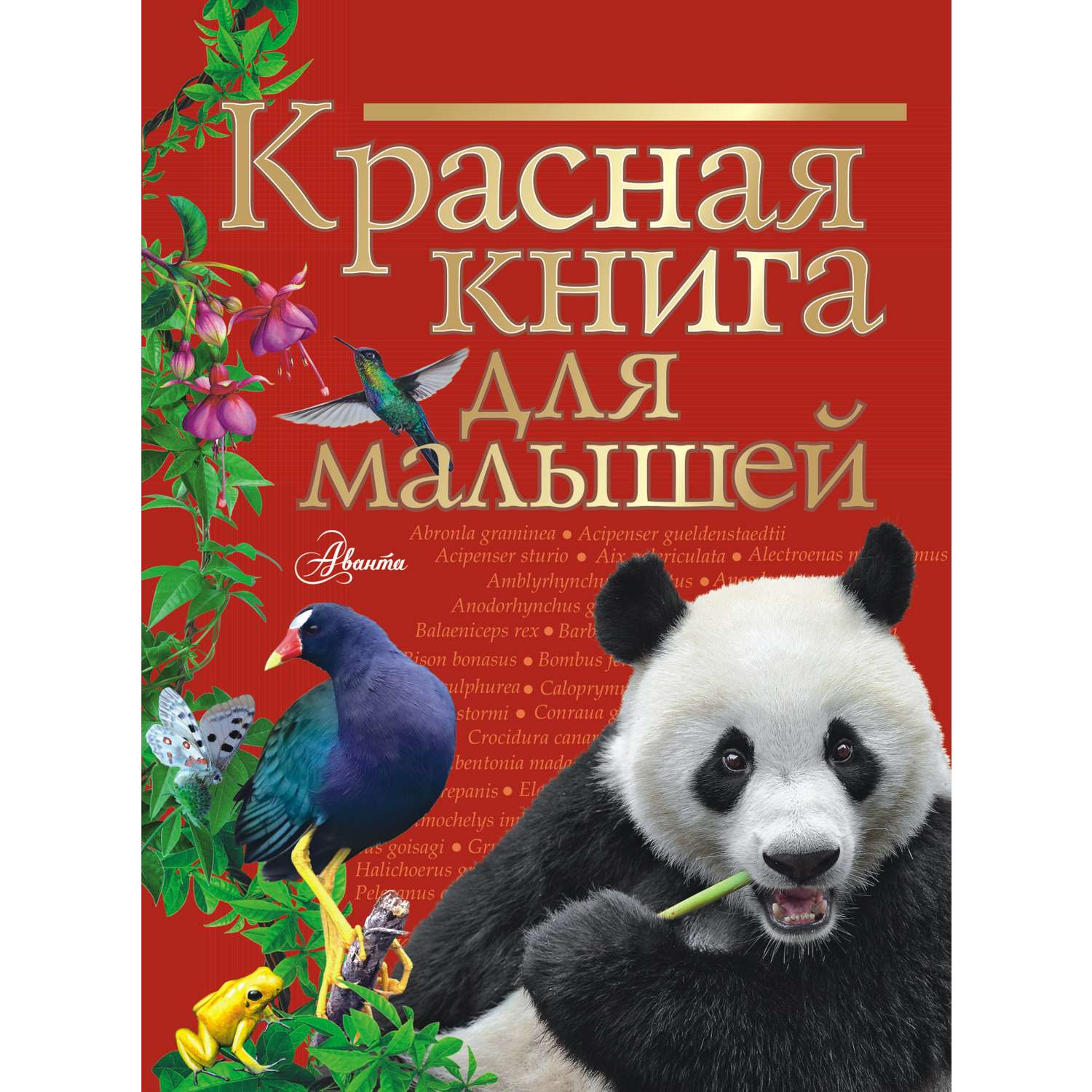 Книга АСТ Красная книга для малышей - фото 1