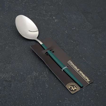 Ложка MAGISTRO Блинк цвет серебро зеленая ручка на подвесе