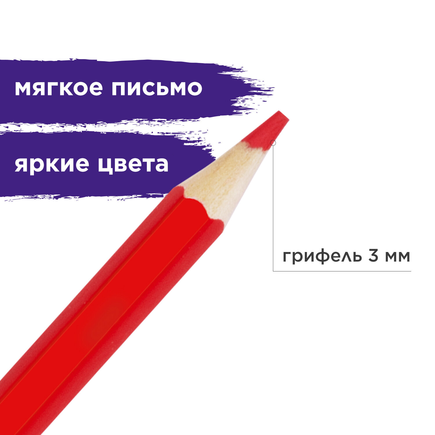 Карандаши цветные Brauberg акварельные Академия 12 цветов высокое качество - фото 2