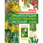 Книга ЭКСМО-ПРЕСС Большая иллюстрированная энциклопедия лекарственных растений