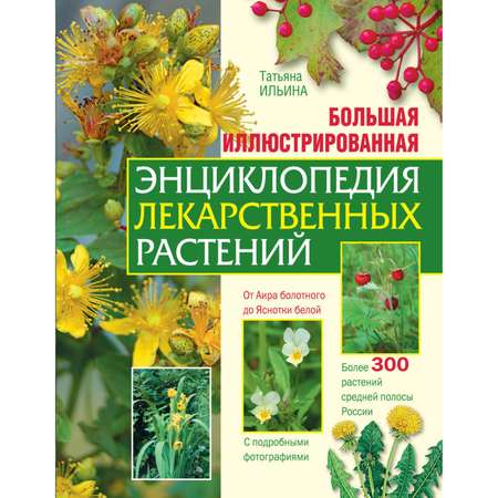 Книга Эксмо Большая иллюстрированная энциклопедия лекарственных растений