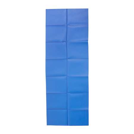 Коврик гимнастический Body Form BF-YM06 173x61x04 Синий