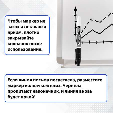 Маркеры для белой доски Brauberg стирающиеся черные комплект 12 штук