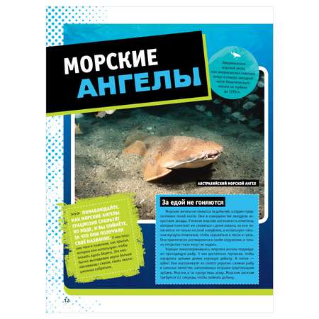 Энциклопедия АСТ Невероятные акулы 5000 удивительных фактов