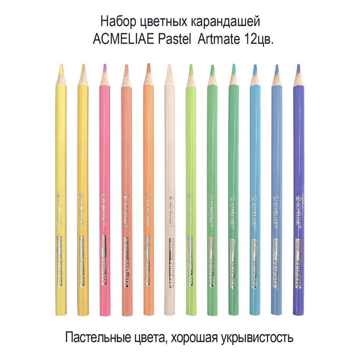 Карандаши цветные пастельные ACMELIAE Pastel Artmate 12цв. в картонном футляре - фото 5