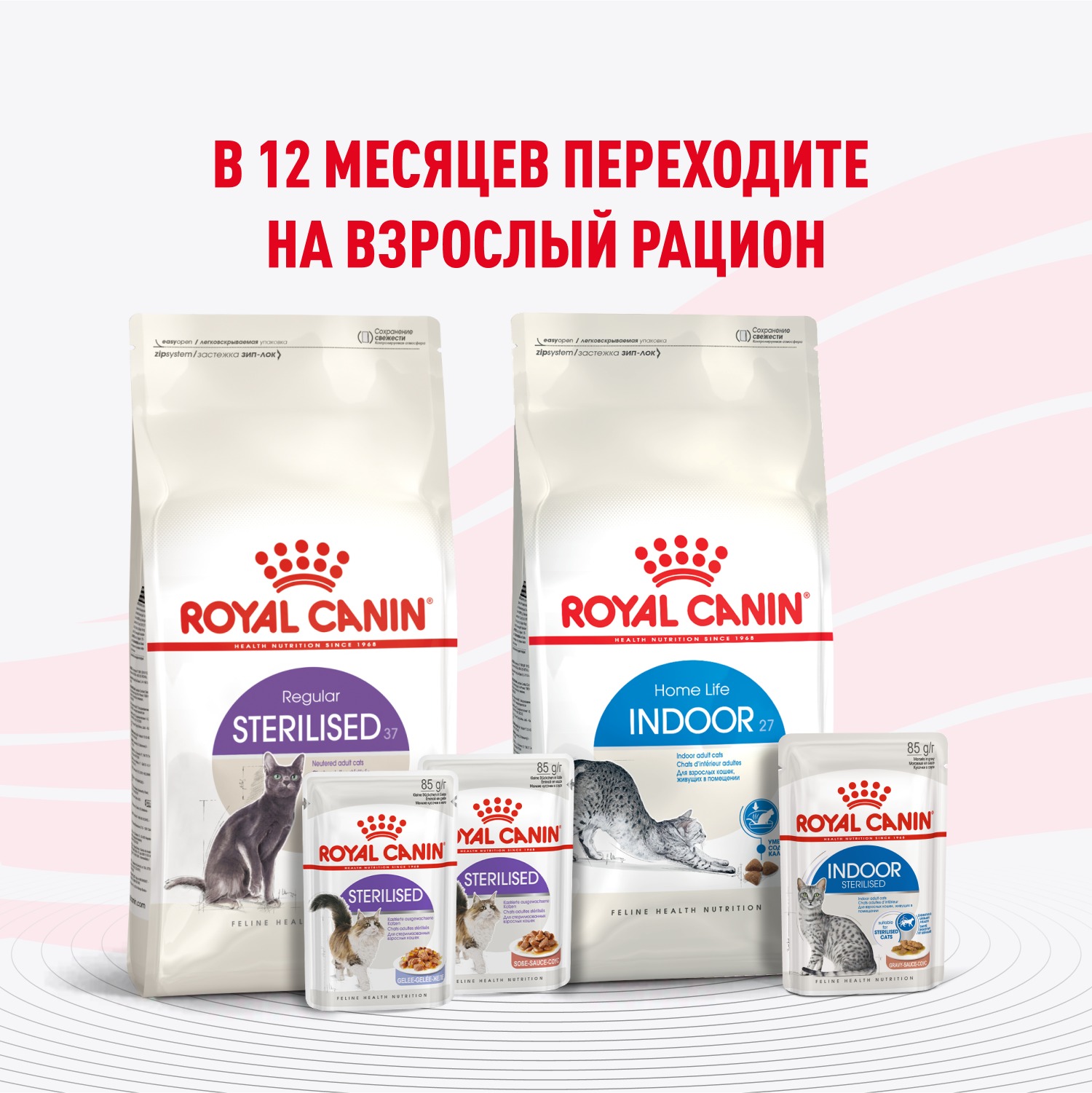 Корм для котят Royal Canin 85г Kitten Sterilised желе для стерилизованных котят пауч - фото 8