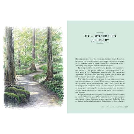 Книга КОЛИБРИ Лес. Как устроена лесная экосистема Лохнер А. Серия: Культ природы