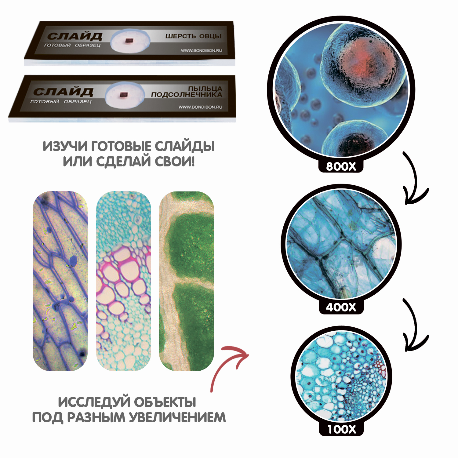 Микроскоп Bondibon 40-800X с подсветкой и светофильтрами переносная ручка серия Науки с Буки - фото 6