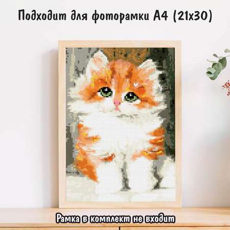 Алмазная мозаика Милато NR-146 Рыжий котенок