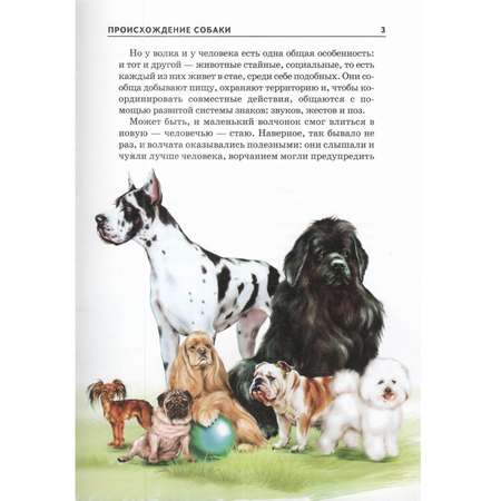 Книга Лада Собаки. Школьный путеводитель
