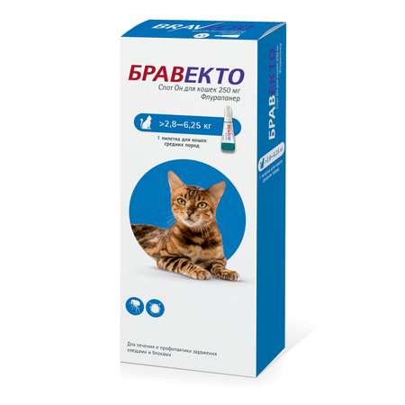 Препарат инсектоакарицидный для кошек MSD Бравекто Спот Он 250мг пипетка