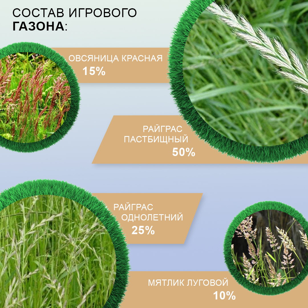 Семена газона Мираторг Игровой газон 1 кг - фото 3