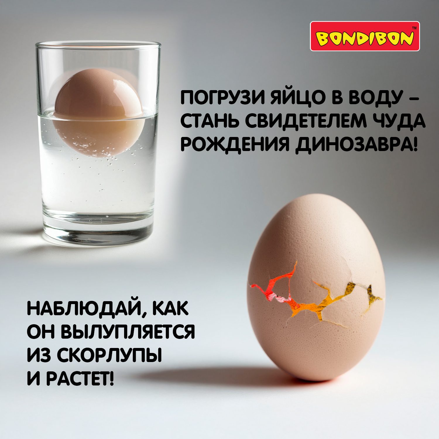 Набор для выращивания Bondibon - фото 6