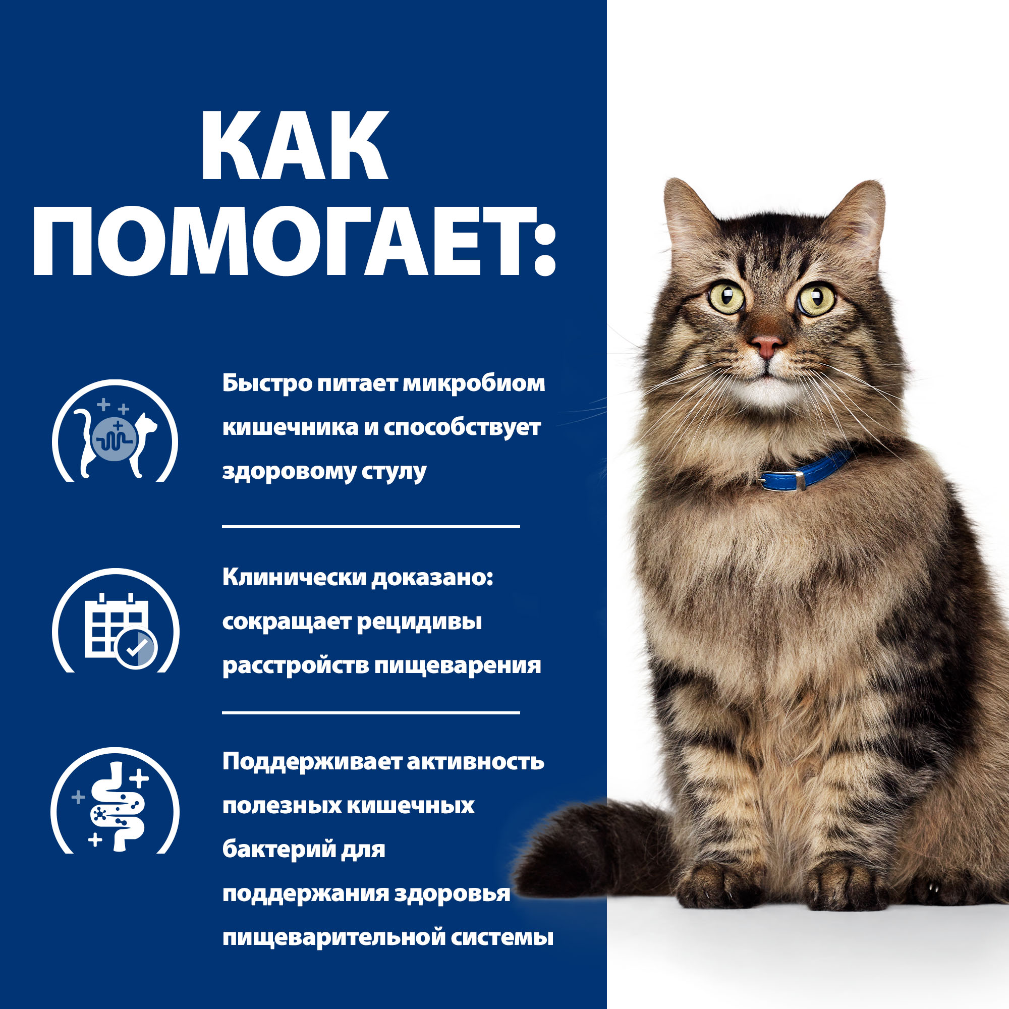 Корм для кошек Hills 3кг Prescription Diet Gastrointestinal Biome при расстройствах пищеварения с курицей - фото 5