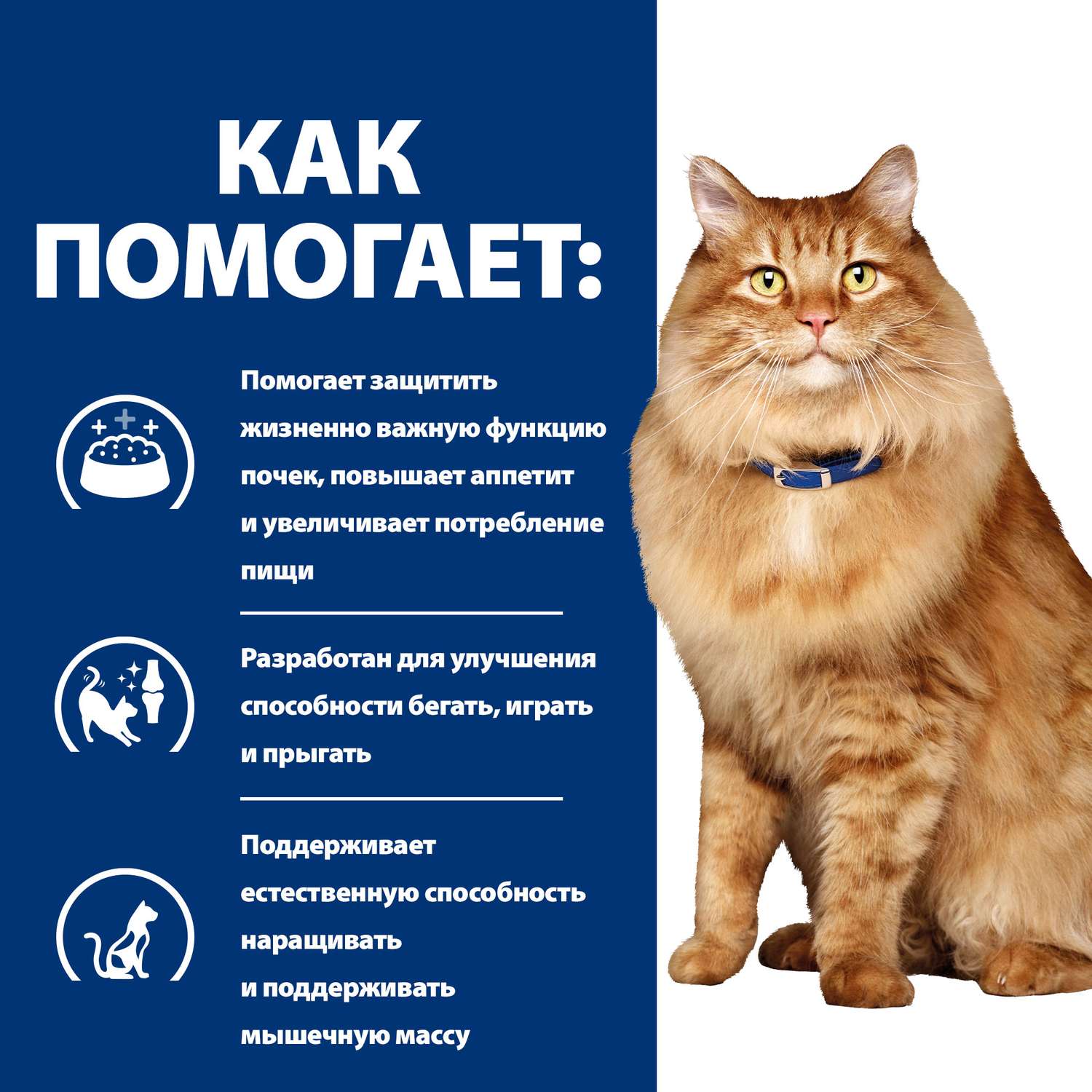 Корм для кошек HILLS 1.5кг Prescription Diet k/d +Mobility для поддержания здоровья почек и суставов с курицей сухой - фото 5