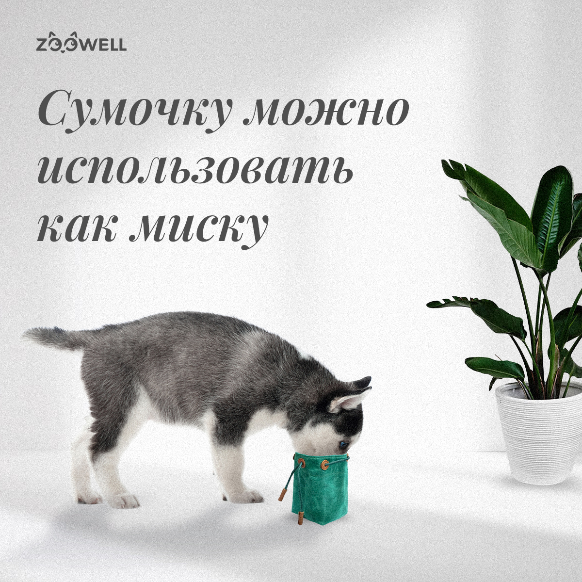 Сумка на пояс для лакомства ZDK ZooWell Training Premium поясная сумочка для корма и лакомств собак зеленая - фото 9