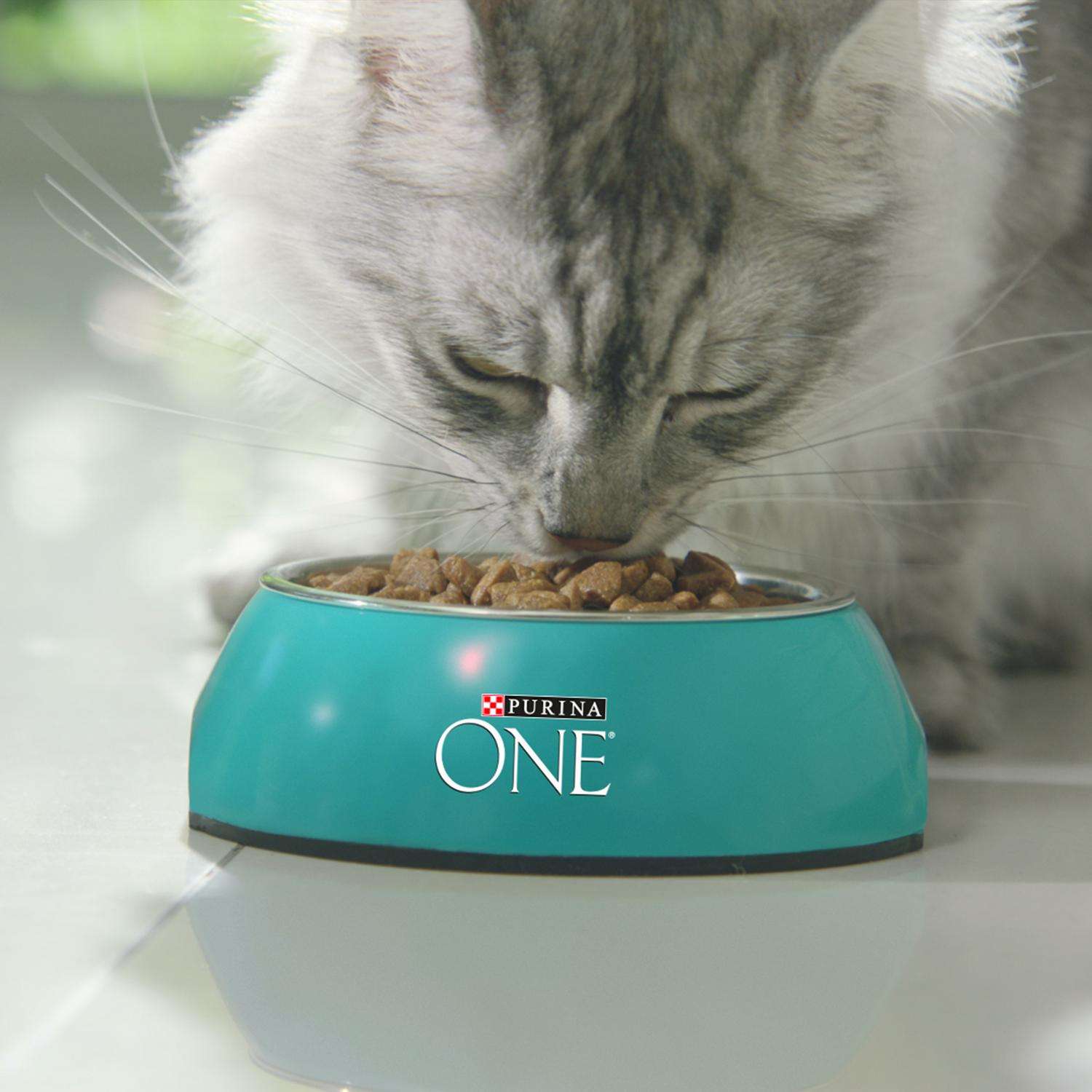 Корм для кошек Purina One с высоким содержанием говядины и цельными злаками сухой 750г - фото 10
