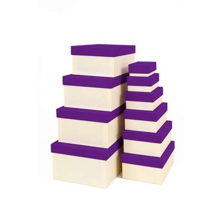 Набор подарочных коробок Cartonnage 10 в 1 Радуга фиолетовый бежевый