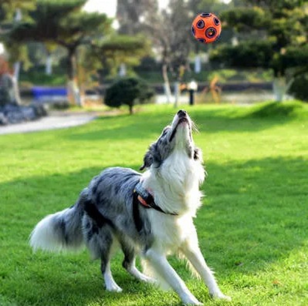 Мяч ZDK ZooWell Play - фото 5