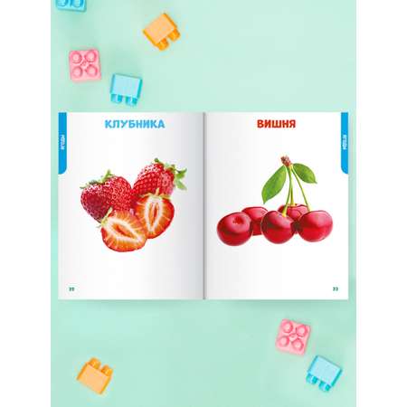 Книга Проф-Пресс Главная книга малыша. Овощи фрукты и многое другое
