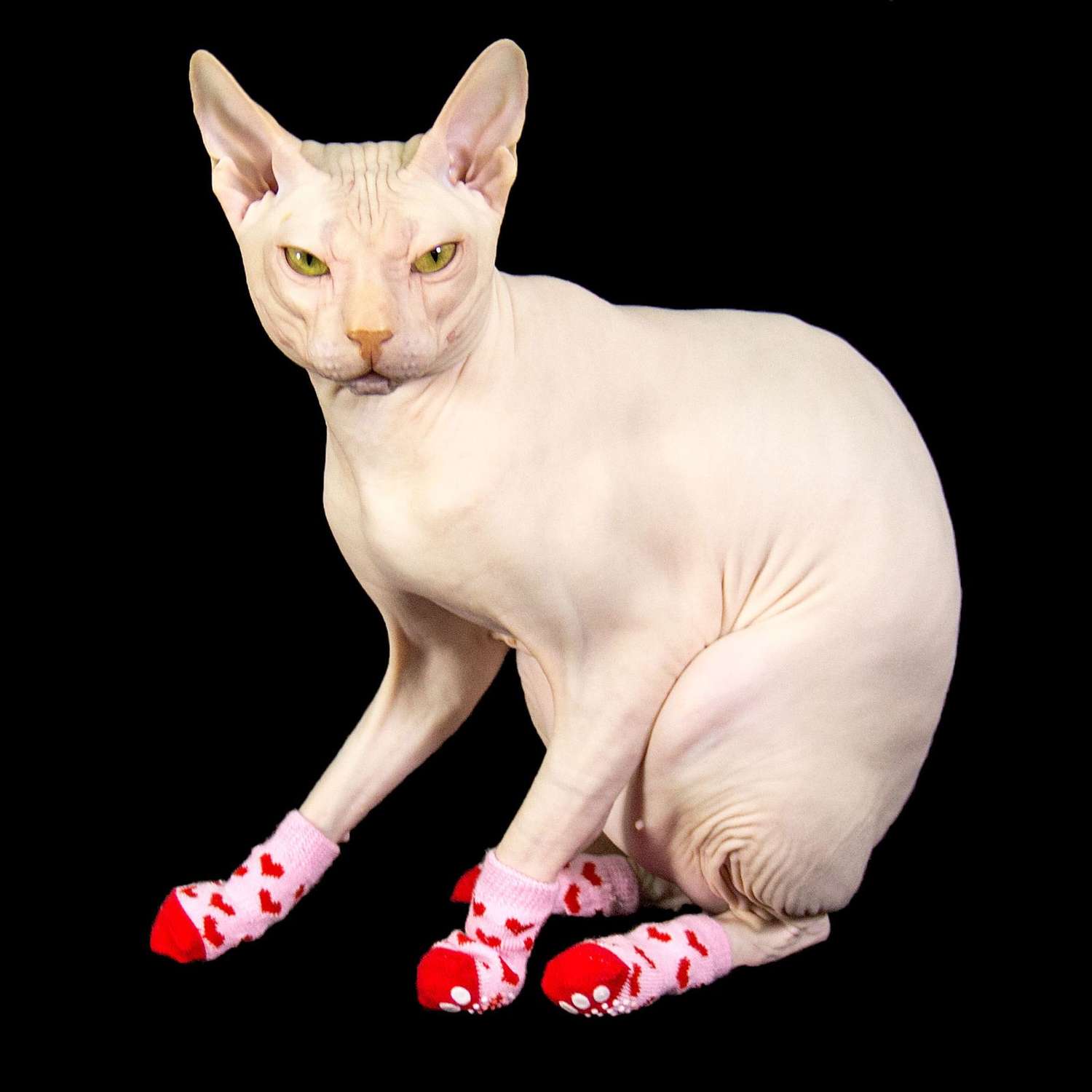 Носки для животных Пижон нескользящие «Сердечки» размер S 4 шт. розовые - фото 4