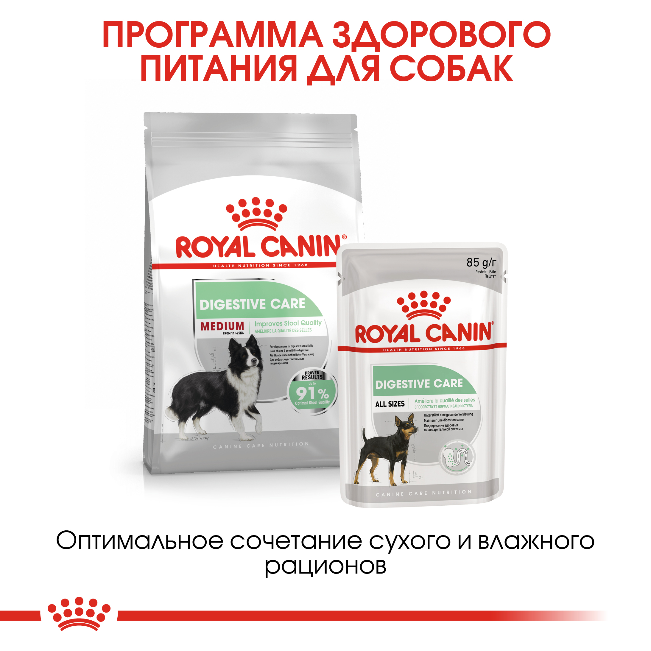 Сухой корм для собак ROYAL CANIN Digestive care 3 кг (лечебный) - фото 6