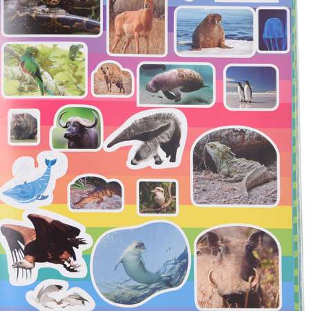 Книга Лабиринт Мой атлас животных с наклейками