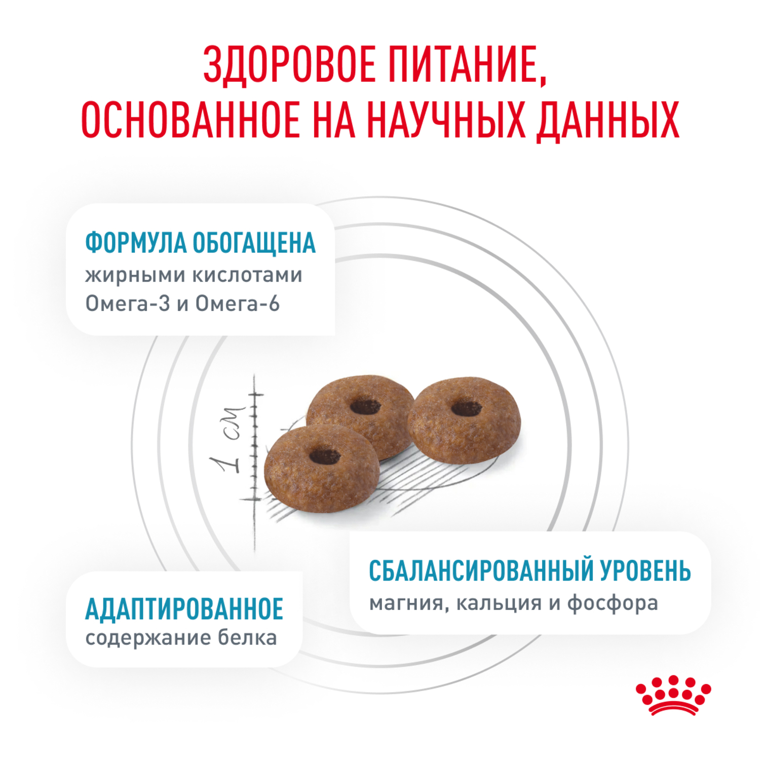 Корм для кошек ROYAL CANIN Skin Coat для поддержания защитных функций кожи 350г - фото 4