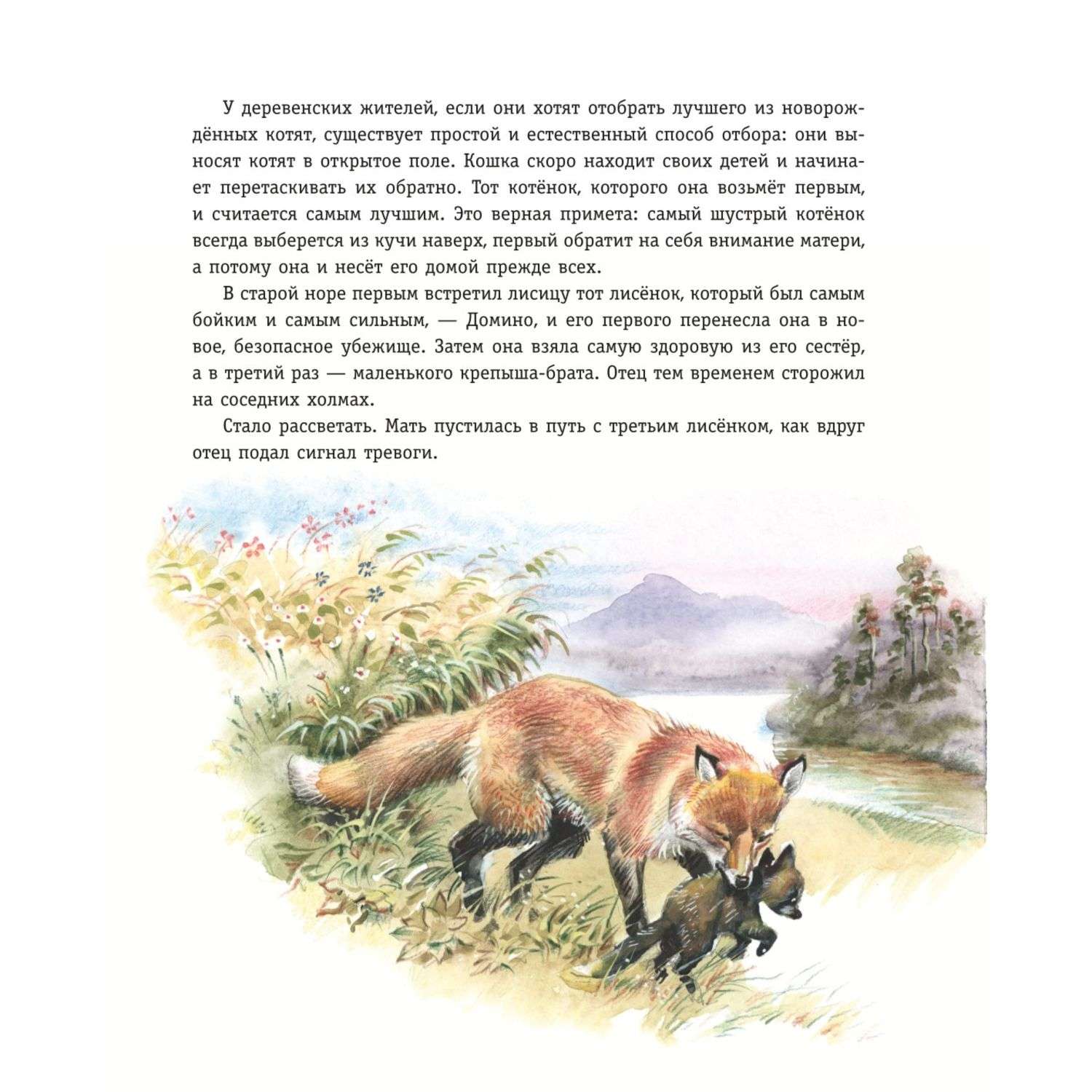 Книга Рассказы о животных иллюстрации Канивца - фото 6