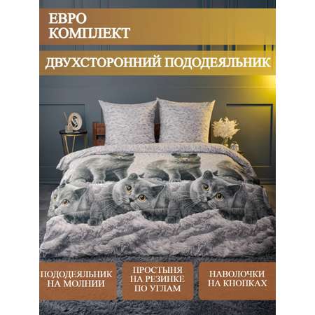 Постельное белье LOVEBERRY Евро британцы