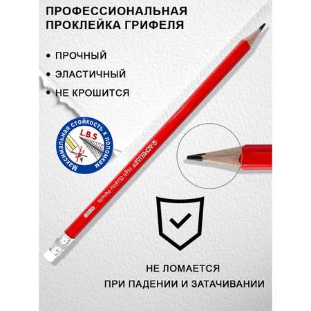 Карандаши чернографитные ACMELIAE 12 шт.