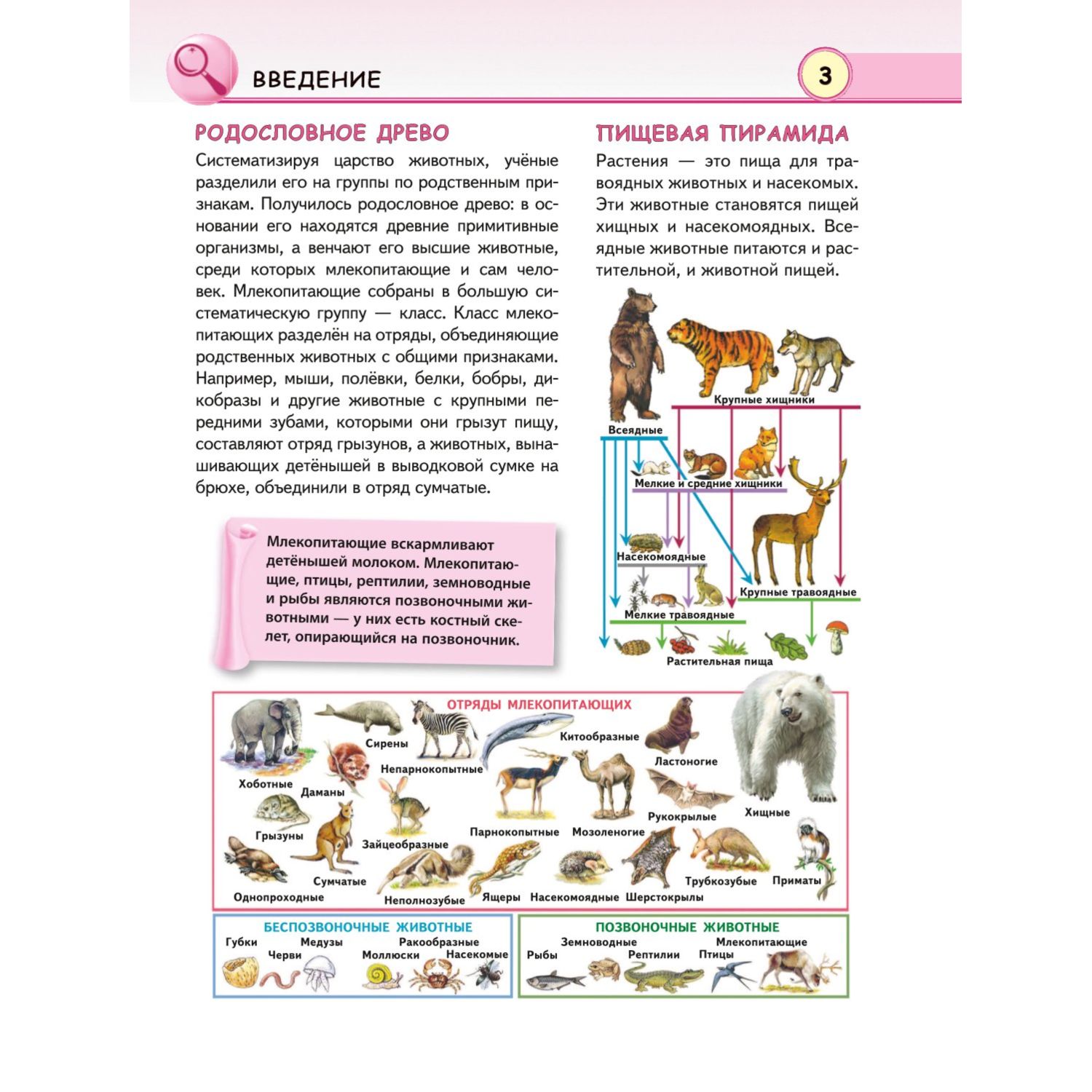 (6+) Животные | Школьник Юлия Константиновна