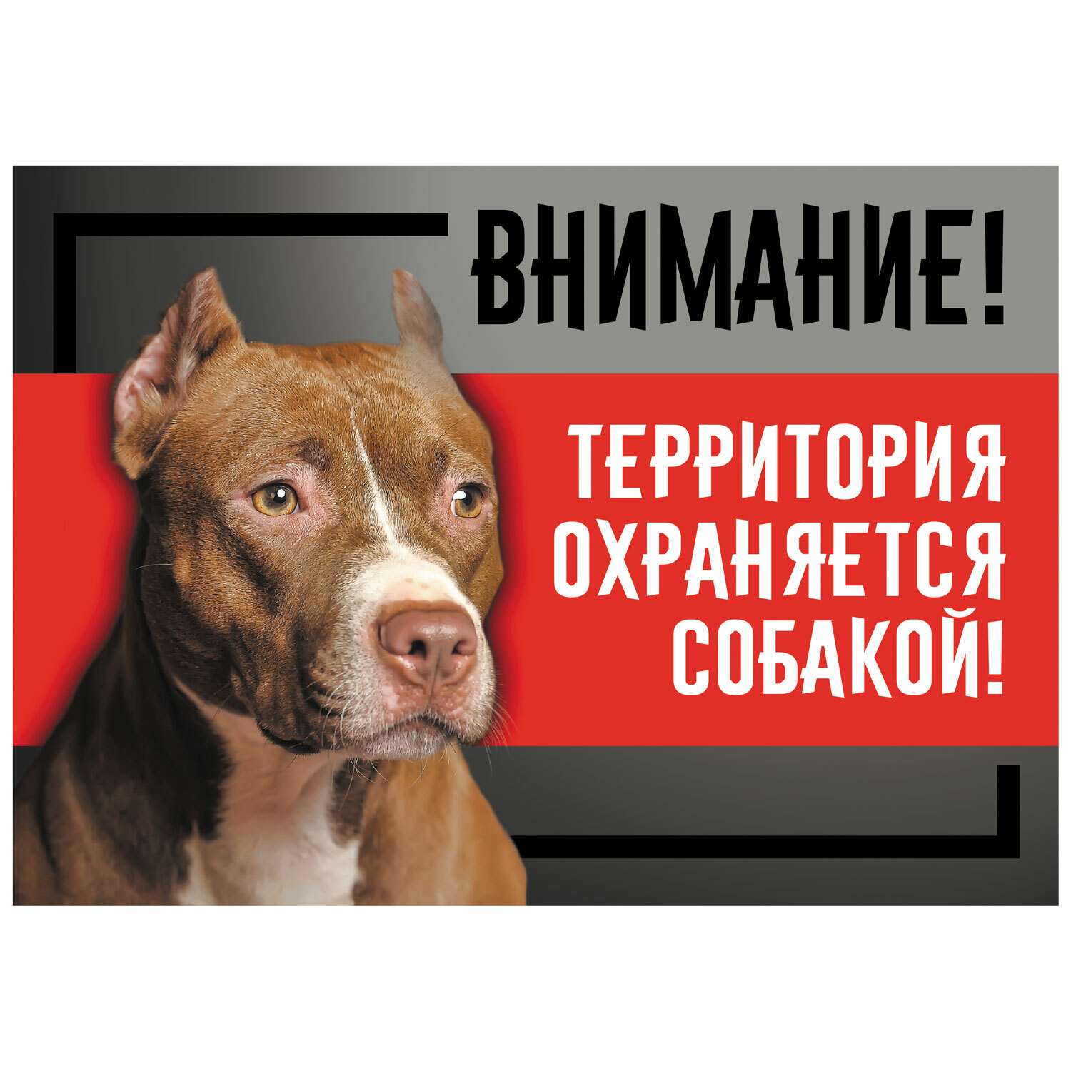 Табличка для собак Gamma Охраняется собакой Cтаффордширский терьер - фото 1