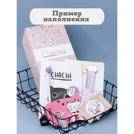 Подарочный бокс для девочки iLikeGift Milota Box mini котик