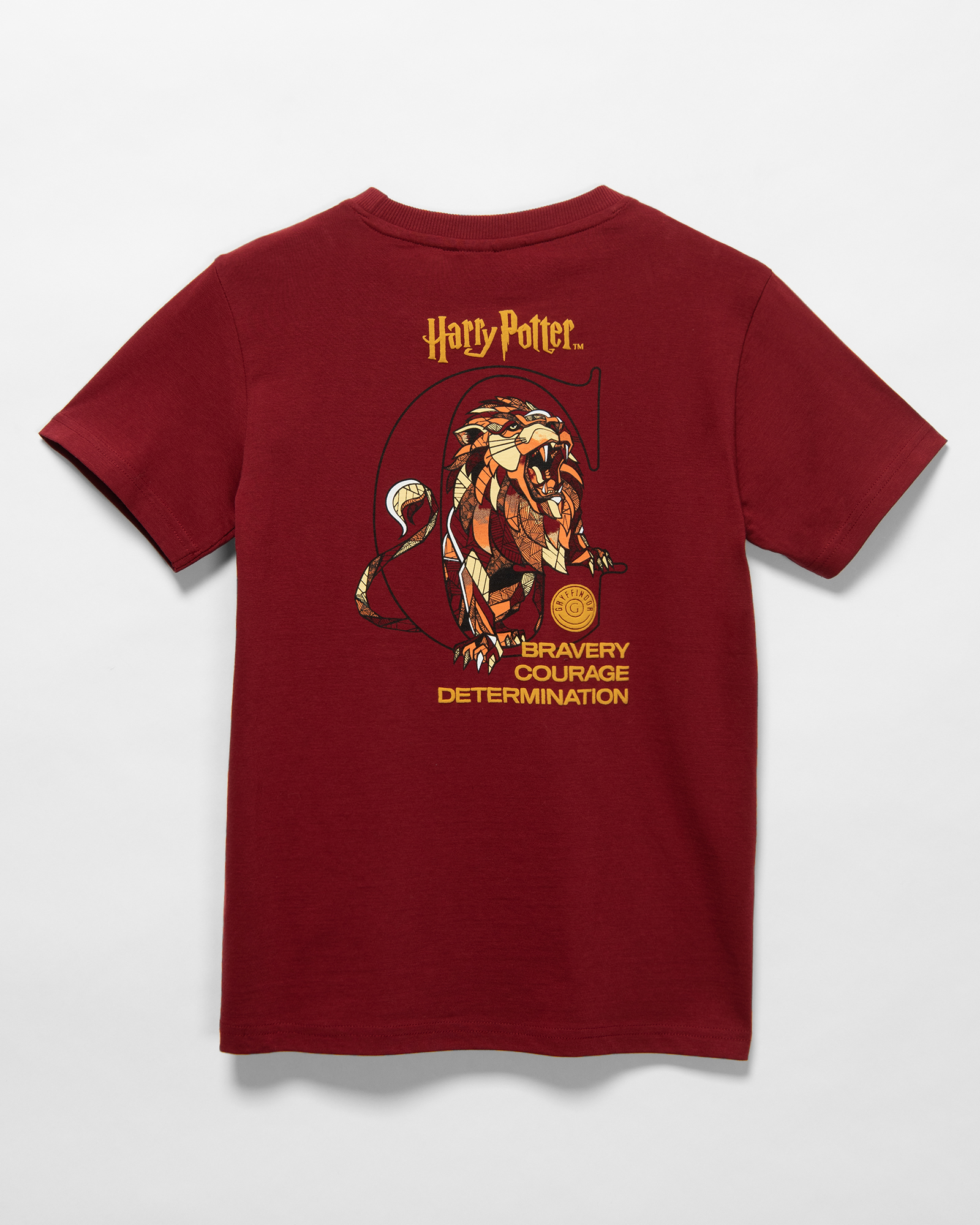 Футболка Harry Potter W23LC5-F5G6280tb-D1 - фото 3