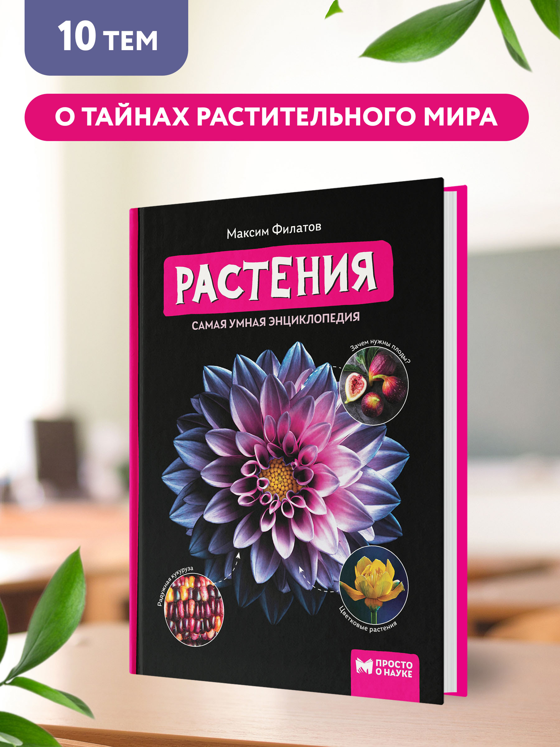 Книга ТД Феникс Растения. Самая умная энциклопедия - фото 4