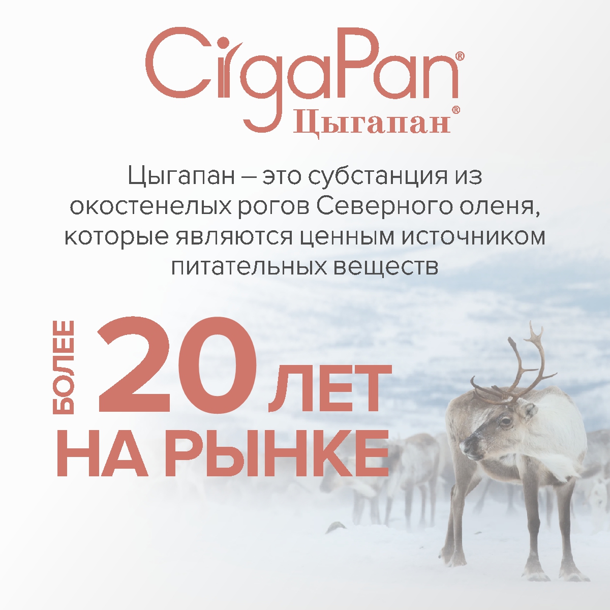 Витамины для женщин CigaPan Цыгапан 120 капсул 400 мг - фото 10