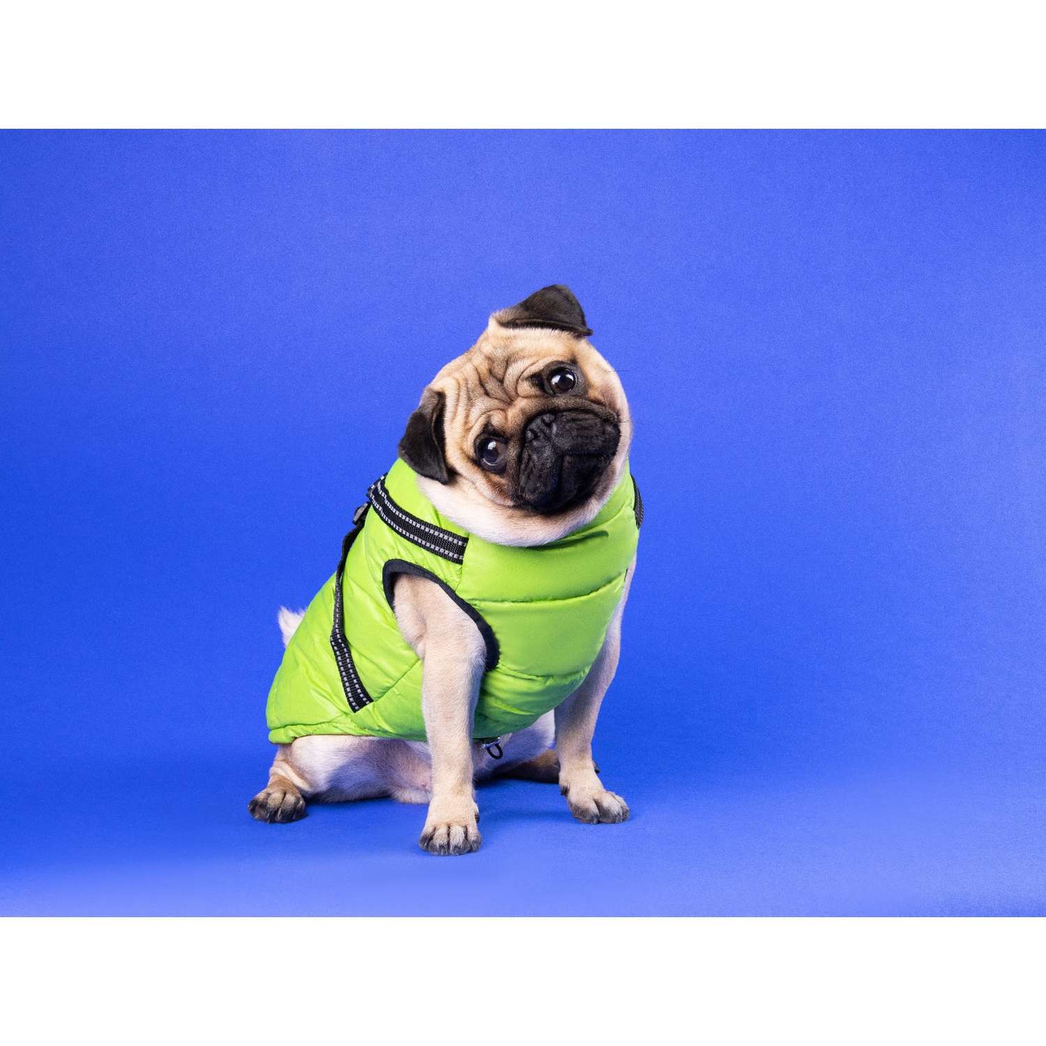 Куртка для собак Sima-Land со шлейкой размер 18 салатовая - фото 1