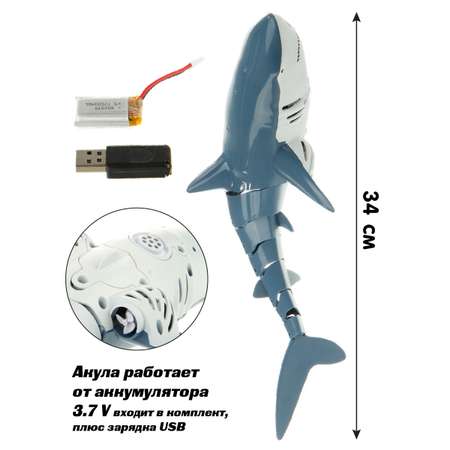 Акула на радиоуправлении Veld Co плавает в воде