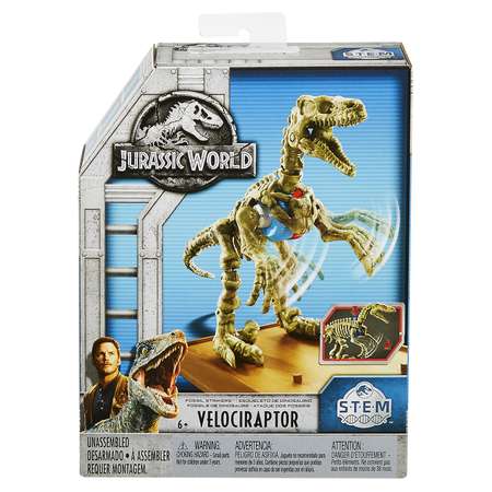 Набор Jurassic World Скелет базовый Велоцираптор FTF06