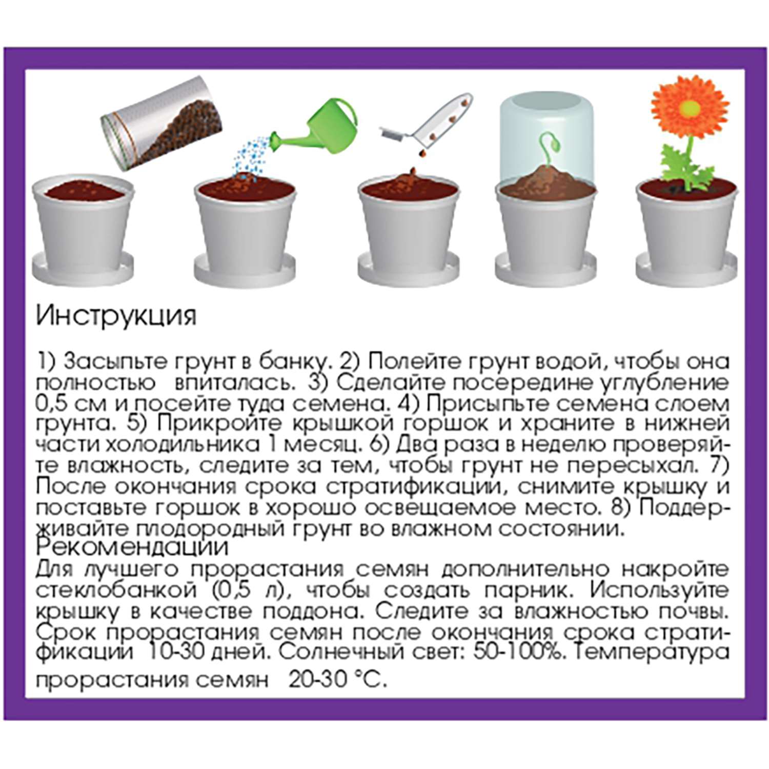 Набор для выращивания растений Rostok Visa Вырасти сам цветок Георгина в подарочном горшке - фото 6